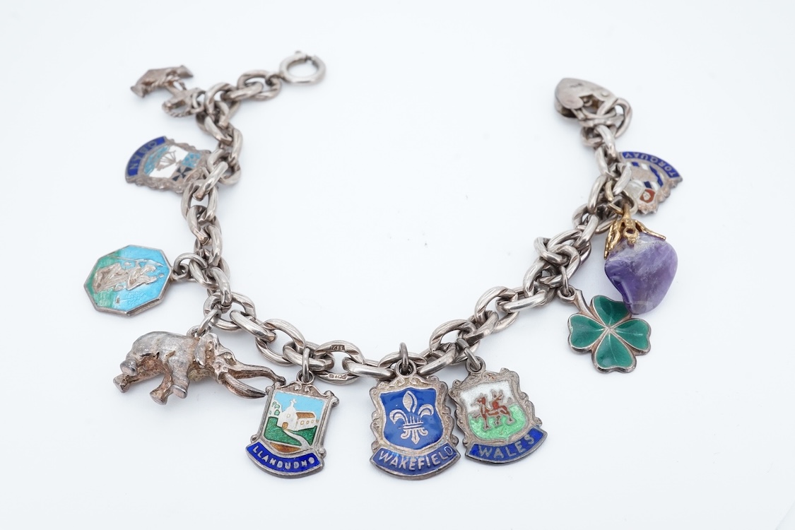 A small group of sterling, white metal and and other jewellery, including a charm bracelet, frog brooch, etc.